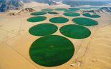 Circulares de la instalación de riego. Están diseñados para el riego de cereales, leguminosas y cultivos industriales, hierbas perennes, prados y pastizales, en las zonas con una inclinación de no más de 0,05. El riego produce en un círculo.
El sistema consta de un fijo de apoyo, водопроводящего de la tubería con среднеструйными дождевальными de respiración circular de la acción, impulsado por el camión con accionamiento hidráulico, sistema de control de velocidad de movimiento mecánico y eléctrico del sistema de estabilización de la rectitud de la tubería durante el movimiento. Деаметр орашаемых de campo puede ser de 80 m hasta 650 m
Traducido del servicio de «Yandex.Traductor»