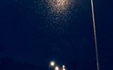 Small Mayfly Swarm

by CaitDavidson via iPhone

Jul 30 2018
Translated by «Yandex.Translator»