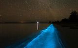 Lake in Australia, inhabited by dinoflagellates, which begin to emit a flash of bluish color if they potriviti.
Translated by «Yandex.Translator»