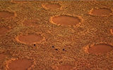 Термитники в пустыне Намиб
