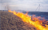 Spontaneous combustion of peat
Translated by «Yandex.Translator»