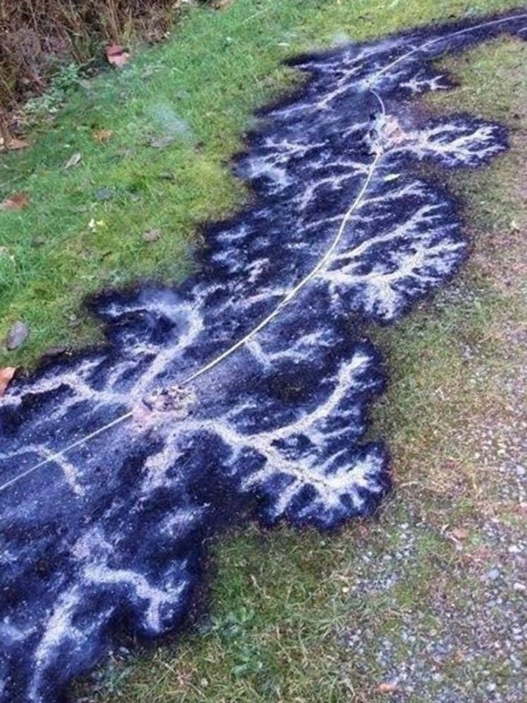 The trace of an electric discharge left by a fallen power line