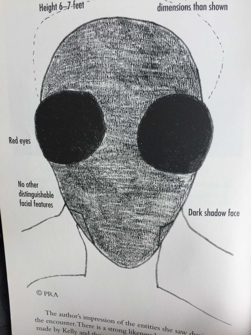 El dibujo de Kelly Cahill, que representa a las criaturas que supuestamente conoció en Narrevarrena, está tomado de su libro "Meeting" (encuentro).