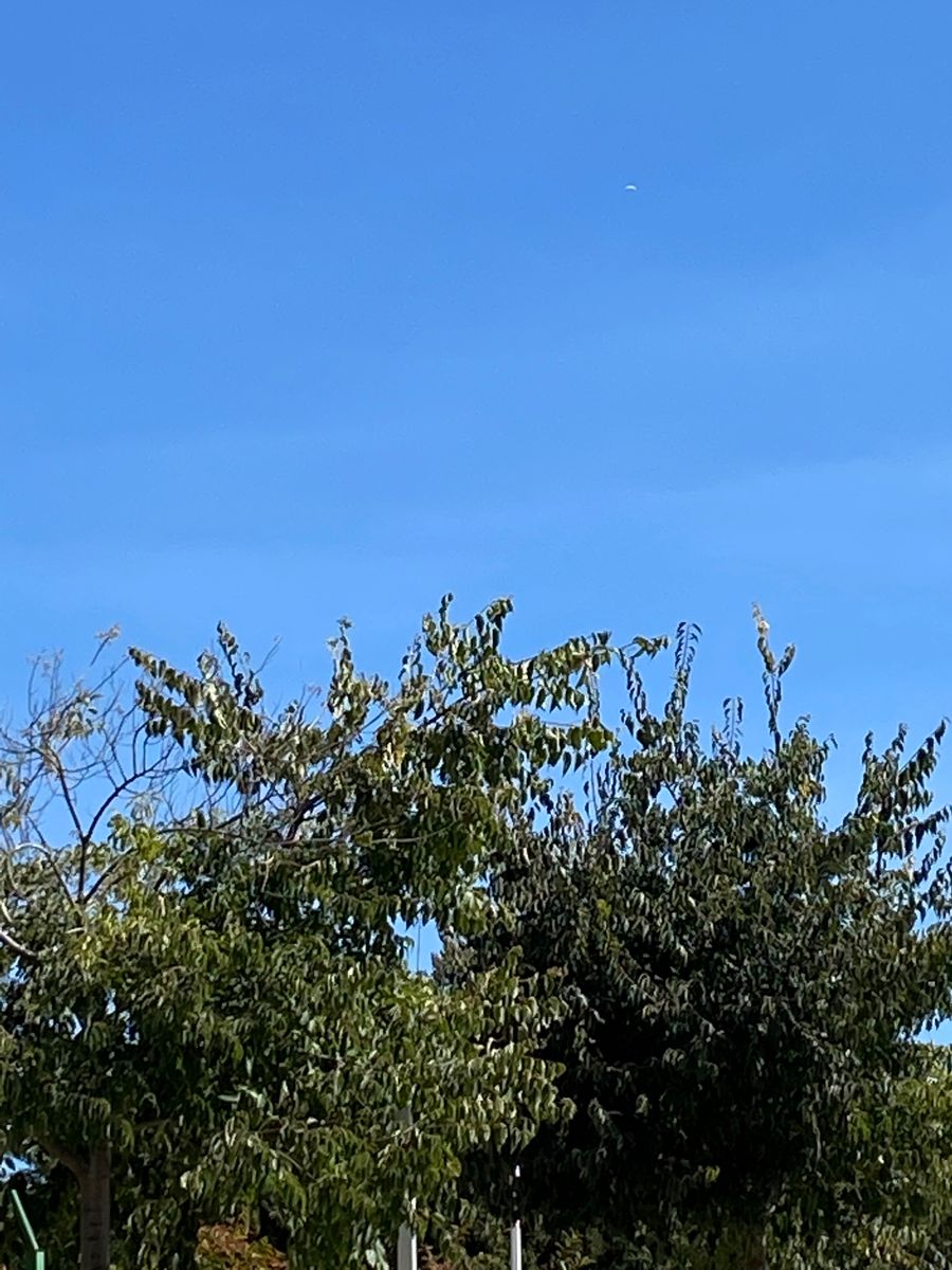 This white object in the shape of a tick-tock dragee is actually a paraglider circling over the mountains near Granada. Details are not visible due to the resolution of the camera and the large distance to the object.