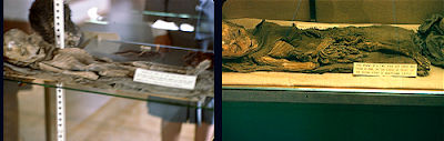 Comparison photos of the alleged alien mummy with the mummy of the boy from the Museum
Translated by «Yandex.Translator»