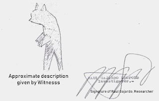 A sketch is seen of the animal
Translated by «Yandex.Translator»