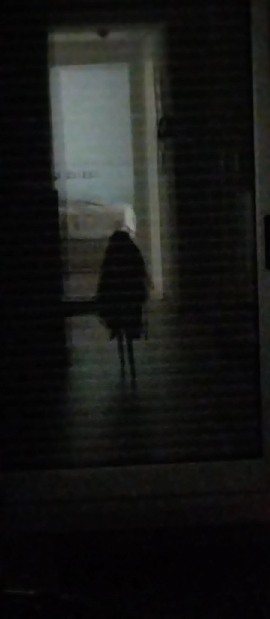 StellarSteals:
I woke up to drink water and saw it in the reflection of the window (I thought it was a ghost, it was just a chair with my jacket).

Woke up to drink water and saw this on the window's reflection (thought it was a ghost, it's just a chair with my jacket).
