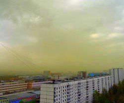 The wind lifted into the air clouds of pollen from trees and shrubs.
Translated by «Yandex.Translator»