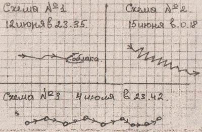 Picture of the author of the letter
Translated by «Yandex.Translator»