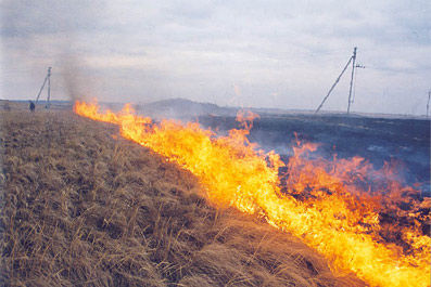 Spontaneous combustion of peat
Translated by «Yandex.Translator»