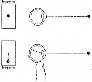 Passive displacement of the eyeball leads to disruption of the constancy of spatial position.
Translated by «Yandex.Translator»