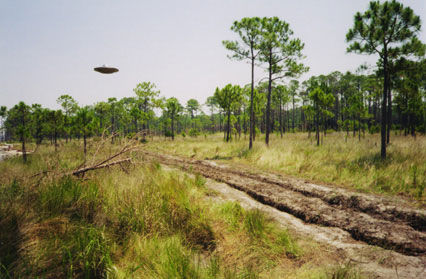 Photo experiment with a model in the form of a UFO