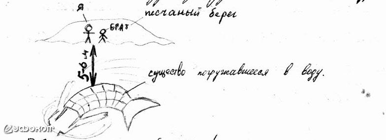 The scheme of observation of the creatures. The figure of the witness
Translated by «Yandex.Translator»