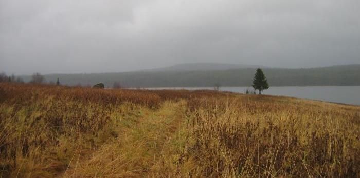 Illustrative photo of the lake
Translated by «Yandex.Translator»