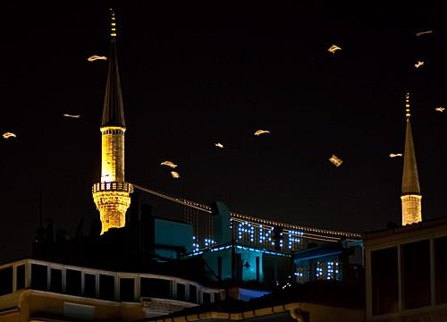 Птицы&nbsp;ночью кружат над мечетью.
