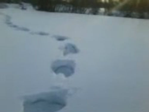 Yeti tracks. A frame from the video