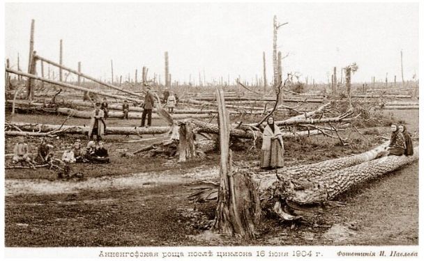 Annengofsky grove, the aftermath of a tornado on June 16, 1904