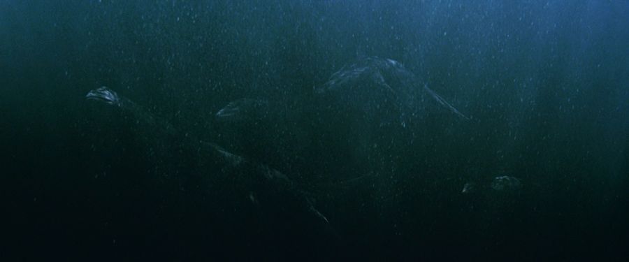 Семья из трех ящеров под водой

