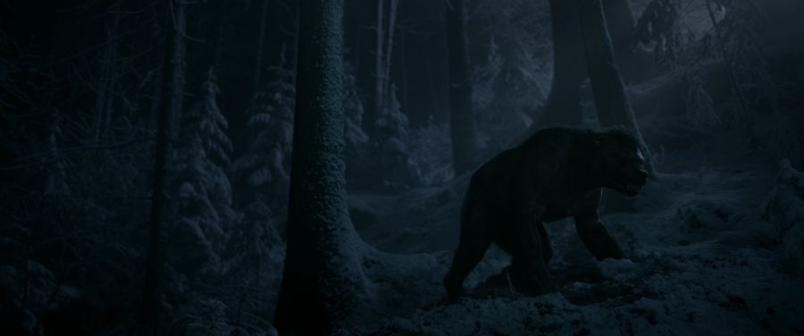 Werewolf in the woods
Translated by «Yandex.Translator»