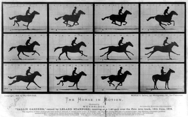 en.wikipedia.org

La primera toma de fotografías de alta velocidad
En 1872, el magnate de la estación de Лиланд stanford contrató a un fotógrafo edward Мейбриджа, para saber si se desgajan los cuatro cascos del caballo de la tierra al mismo tiempo durante la carrera. Tomó algún tiempo, pero en 1878 Майбридж, mediante decenas de cámaras, ha demostrado que los cuatro cascos en algún momento realmente se levantan de la tierra al mismo tiempo.
Traducido del servicio de «Yandex.Traductor»