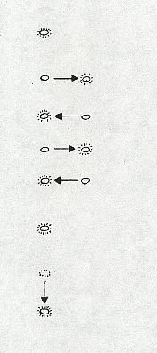 Figure 3. When I looked between the bare branches, I noticed that the object moved from side to side about three times, and then stopped for a second or two. Then it suddenly went out, as if someone had flipped a switch. Then the object reappeared at a slightly lower altitude.