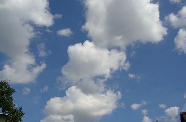 Cumulus clouds (CumulusCu)

Cumulus clouds - dense, with sharply delineated contours of individual clouds developing up in the hills, domes, towers. Have a dazzling white spray tops (similar to the cabbage cauliflower). The base of the clouds are relatively dark. With a large number of form a ridge. Sometimes they have a torn edge. Cumulus clouds consist only of water droplets (no crystals) and precipitation is not allowed. However, in the tropics, where the water content of clouds is large, of them as a result of mutual merging of the drops can fall a little rain.
As a result of further development of Cumulus clouds are formed by cumulonimbus clouds.

Height from 0.3 to 1.5 km
Translated by «Yandex.Translator»