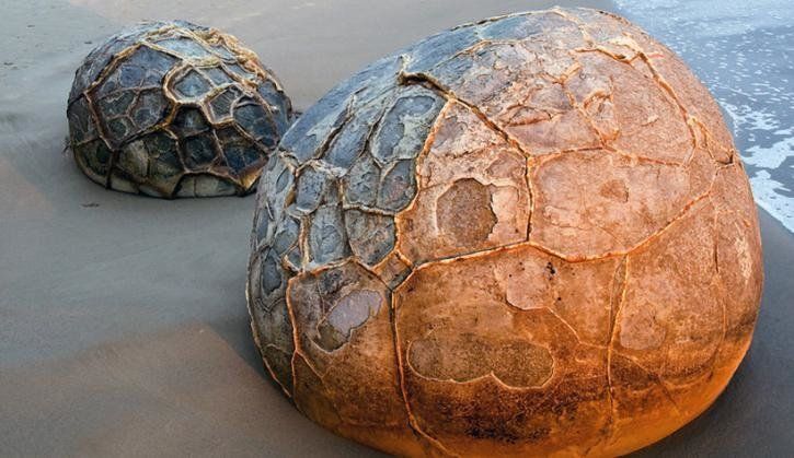 The diameter of the Moeraki boulders from 0.5 to 2.2 meters
Translated by «Yandex.Translator»