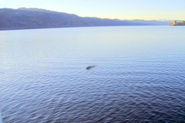 Photo of Nessie taken by the captain of the boat
Translated by «Yandex.Translator»