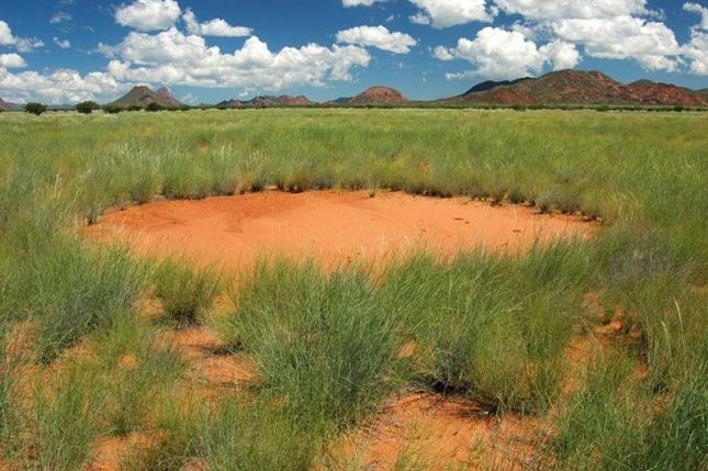 The circle in the desert
Translated by «Yandex.Translator»