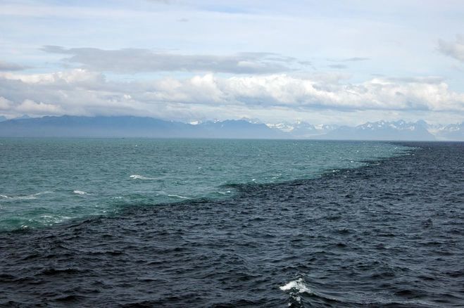The meeting point of the North Sea and the Baltic Sea near Skagen, Denmark. The water does not mix because of the different densities.