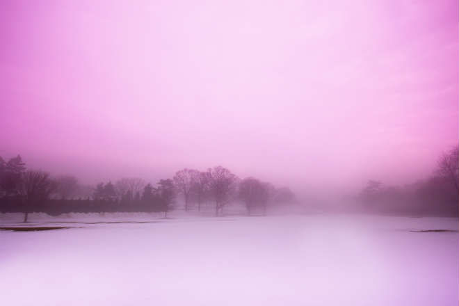 Purple sunset © littleny | Shutterstock.com
Translated by «Yandex.Translator»