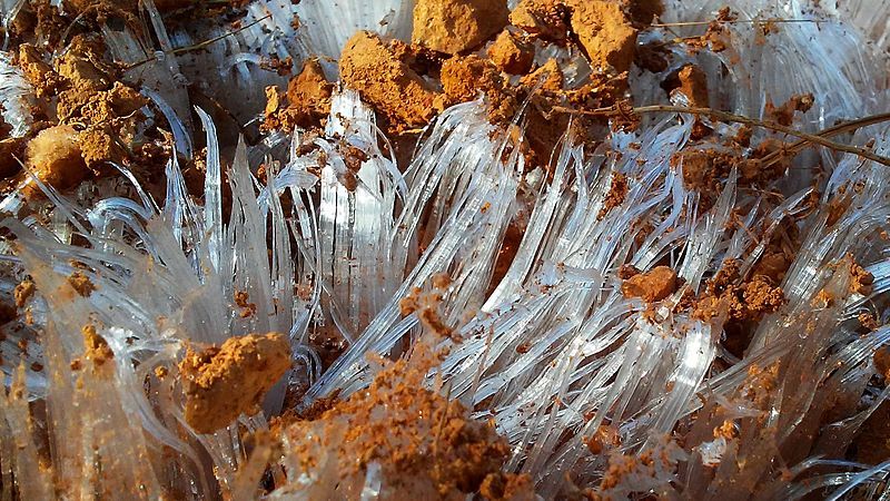 El hielo de aguja consiste en hebras sueltas individuales