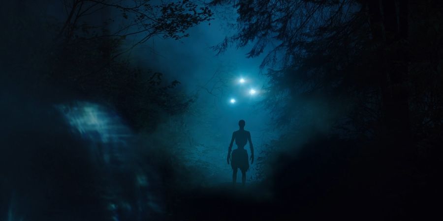 Skinwalker in the light of the swamp lights
Translated by «Yandex.Translator»