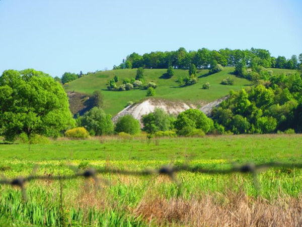 Лысая гора
