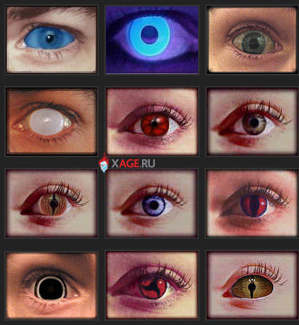 Unusual contact lenses
Translated by «Yandex.Translator»