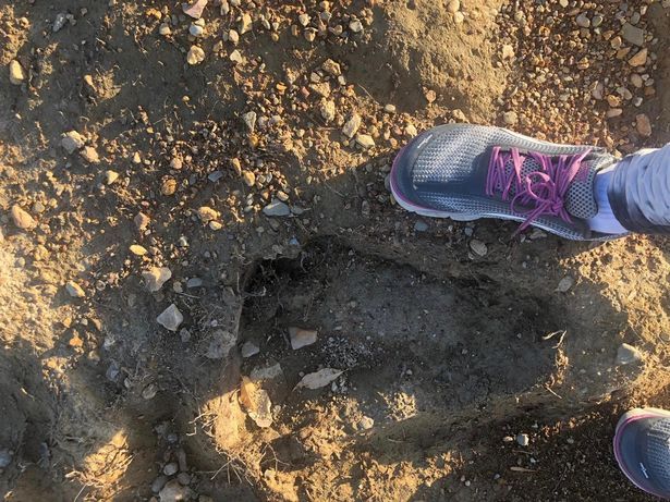 The footprint was much bigger than Tracy's shoe (Image: Bigfoot Believers/Facebook)