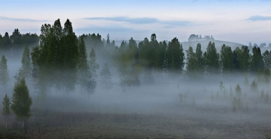 La niebla en el Изборской el valle (región de pskov). Ilustración de wikipedia.
Traducido del servicio de «Yandex.Traductor»