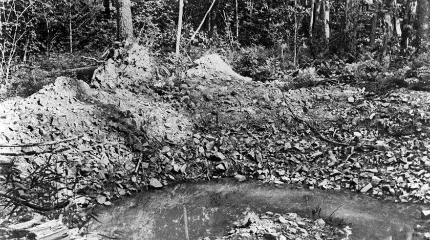 El lugar de la caída de la lluvia de meteoritos sihote-Alinsky. Foto: TASS