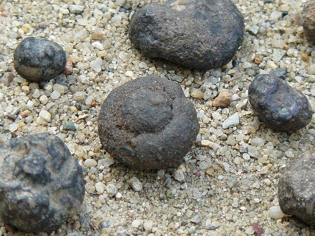 Carbonate (?) nodules. The Hayes Island, Franz Josef Land, Russia. Samples: Miner. Muz. Rggru. Quartz, length 12 cm, sopawadee splitting
Translated by «Yandex.Translator»