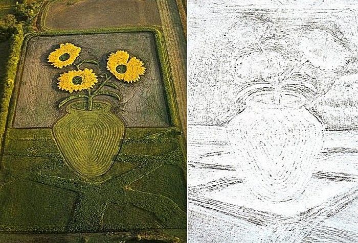 The crop: sunflowers in summer and winter.

For over 30 years American artist in the truest sense of the word plow in the field of fine art, then otkapyvaya new techniques. The author describes an unusual agricultural work "earthworks" ("Earthworks"). Among his drawings in the margins - portraits, still lifes and (funny enough) landscapes.
Translated by «Yandex.Translator»