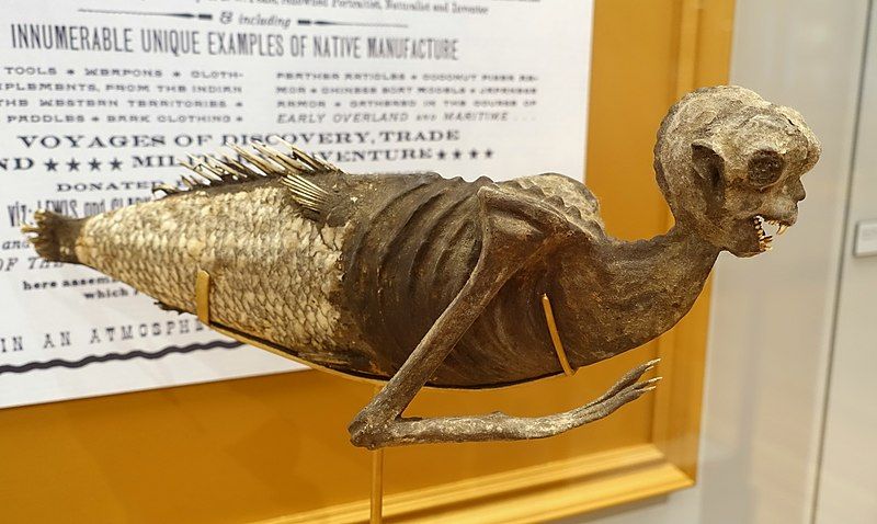 Mermaid made out of papier-mache, from the collection of M. Kimball. Harvard University Peabody Museum of archaeology and Ethnology
Translated by «Yandex.Translator»