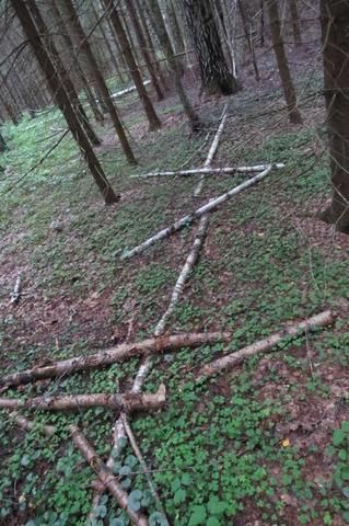 Гоминологи&nbsp;считают, что с помощью рун,&nbsp;выложенных из веток, йети&nbsp;пытается наладить с нами&nbsp;контакт
