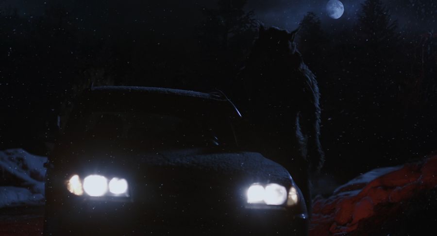 "Werewolf" next to the car