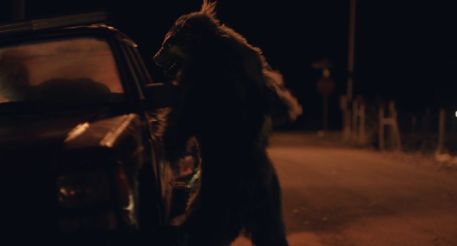 "Werewolf" tries to get into the car