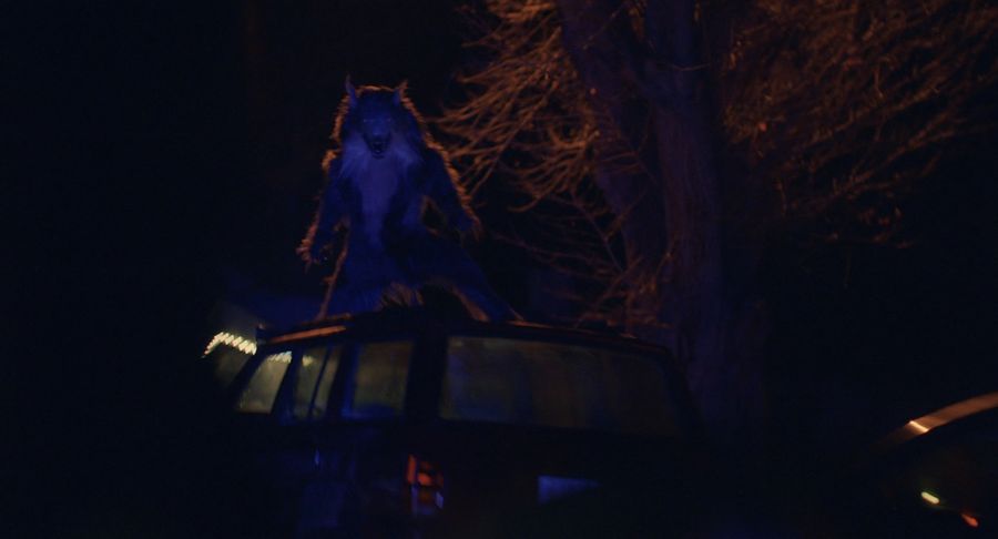 "Werewolf" on the roof of the car