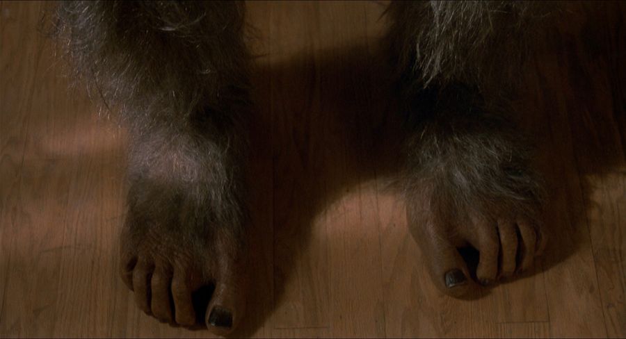 Foot Bigfoot
Translated by «Yandex.Translator»