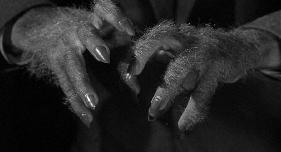 "Hands" of a werewolf