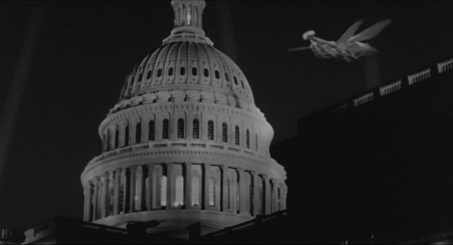 Una mantis gigante en el cielo sobre Washington