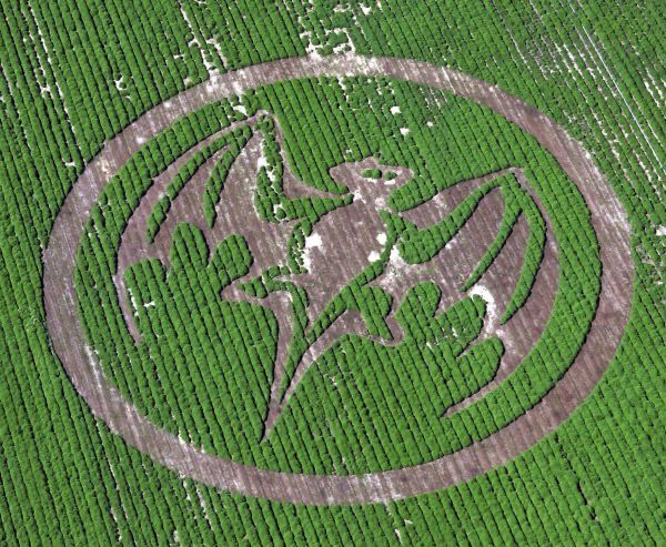 Bacardi's Bat logo is seen "circled" on more than one and a half acres of fresh mint growing on Dalponte Farms, the largest mint farm in the United States, on May 16, 2005 in Richland, New York, as part of the nationwide celebration of "Mojito Month". These are the first crop circles of the season. Mojito has turned from a drink of migrant workers into a favorite of celebrities. (PRNewsfoto) ORG XMIT: PRN13