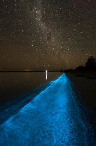 Lake in Australia, inhabited by dinoflagellates, which begin to emit a flash of bluish color if they potriviti.
Translated by «Yandex.Translator»